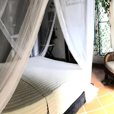 Coccoloba Hotel Flandes Exterior photo