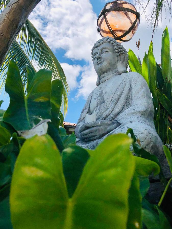 Homestay Coccoloba Flandes